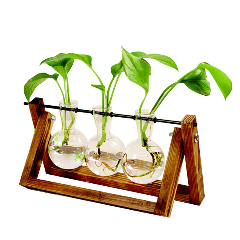 terrarium hydroponic plant vases Transparent Terrarium Vase, Laboratory Sample Bottles – Vireous.Shop