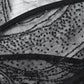 Punk Rave Morrigan Gothic Butterfly Costume Wings in Black
