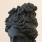 Desktop Sculpture, Aphrodite Bust, Art Decoration