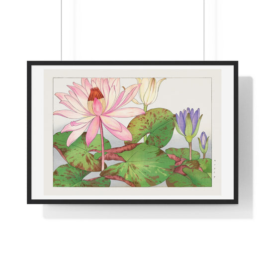 Japanese Woodblock Art, Nymphaea Lotus (1917) by Tanigami Kônan, from the Original, Framed Print