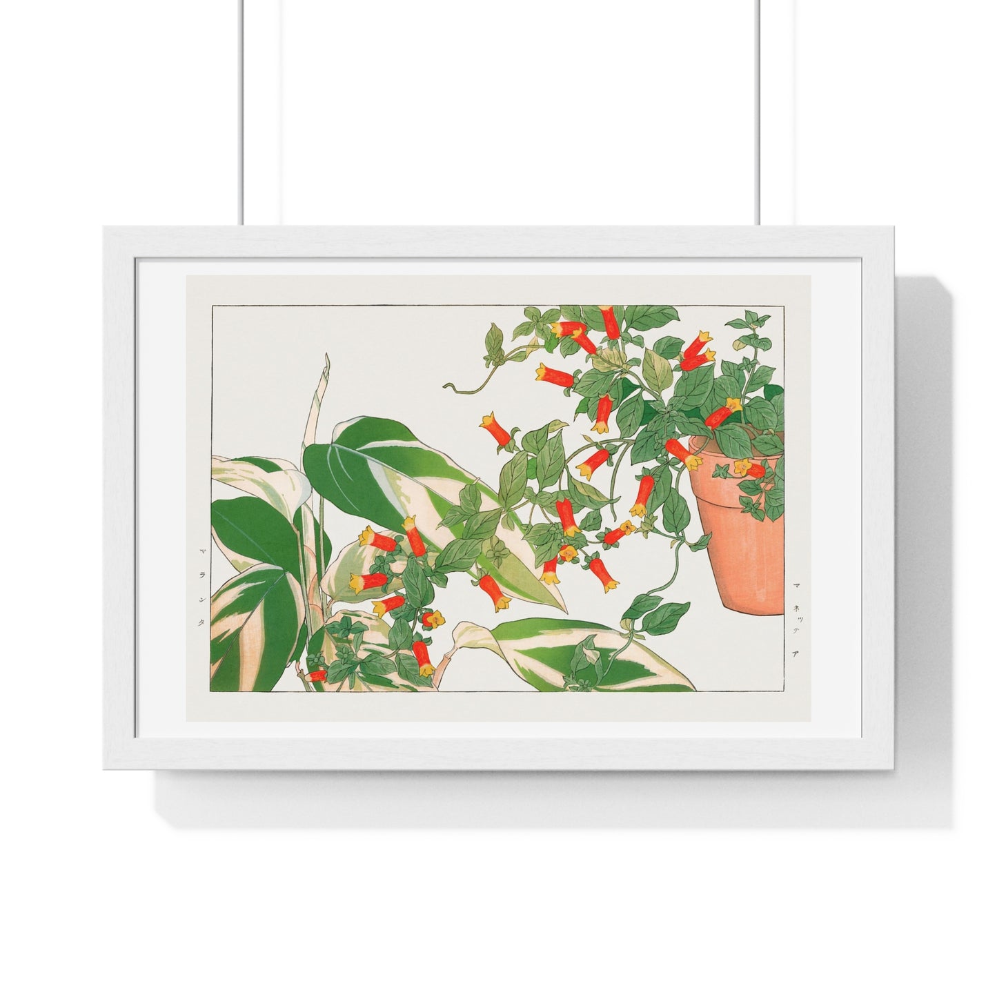 Maranta and Manettia Flower (1917) Japanese Woodblock Art by Kônan Tanigami, from the Original, Framed Art Print