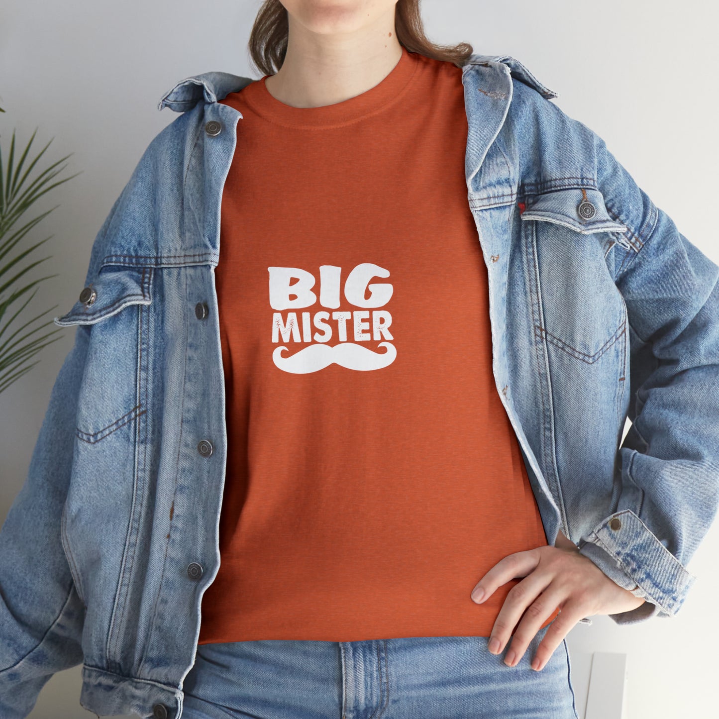 Big Mister, Funny Moustache Alpha Male T-Shirt