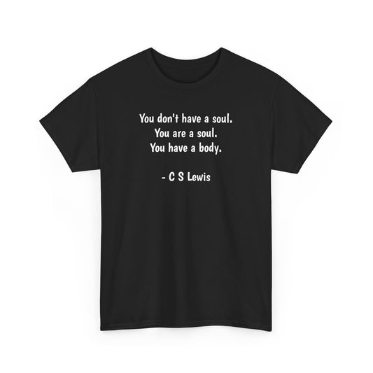 You Don't Have a Soul, You are a Soul, You Have a Body, Spiritual T-Shirt