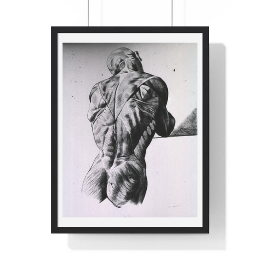 Musculature of the Human Body, Vintage Drawing, from the Original, Wooden Framed Print