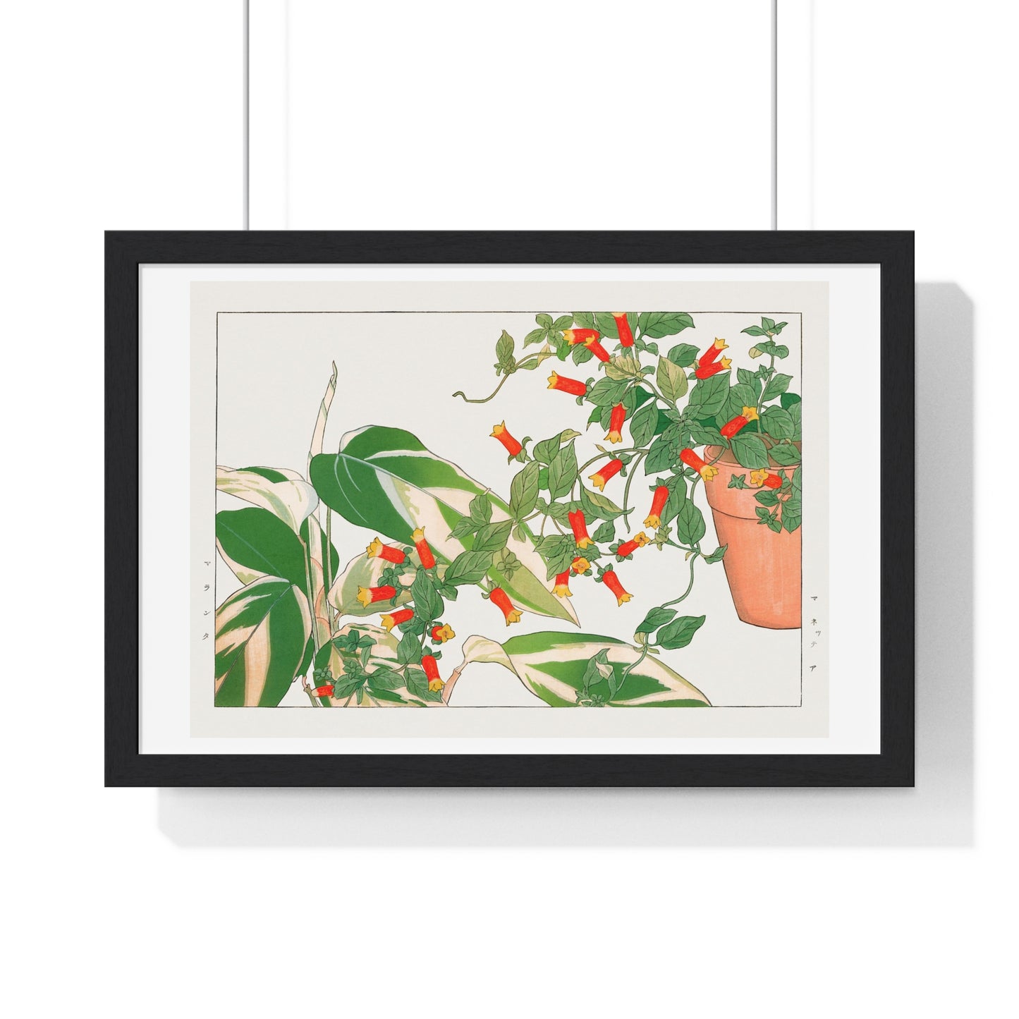 Maranta and Manettia Flower (1917) Japanese Woodblock Art by Kônan Tanigami, from the Original, Framed Art Print