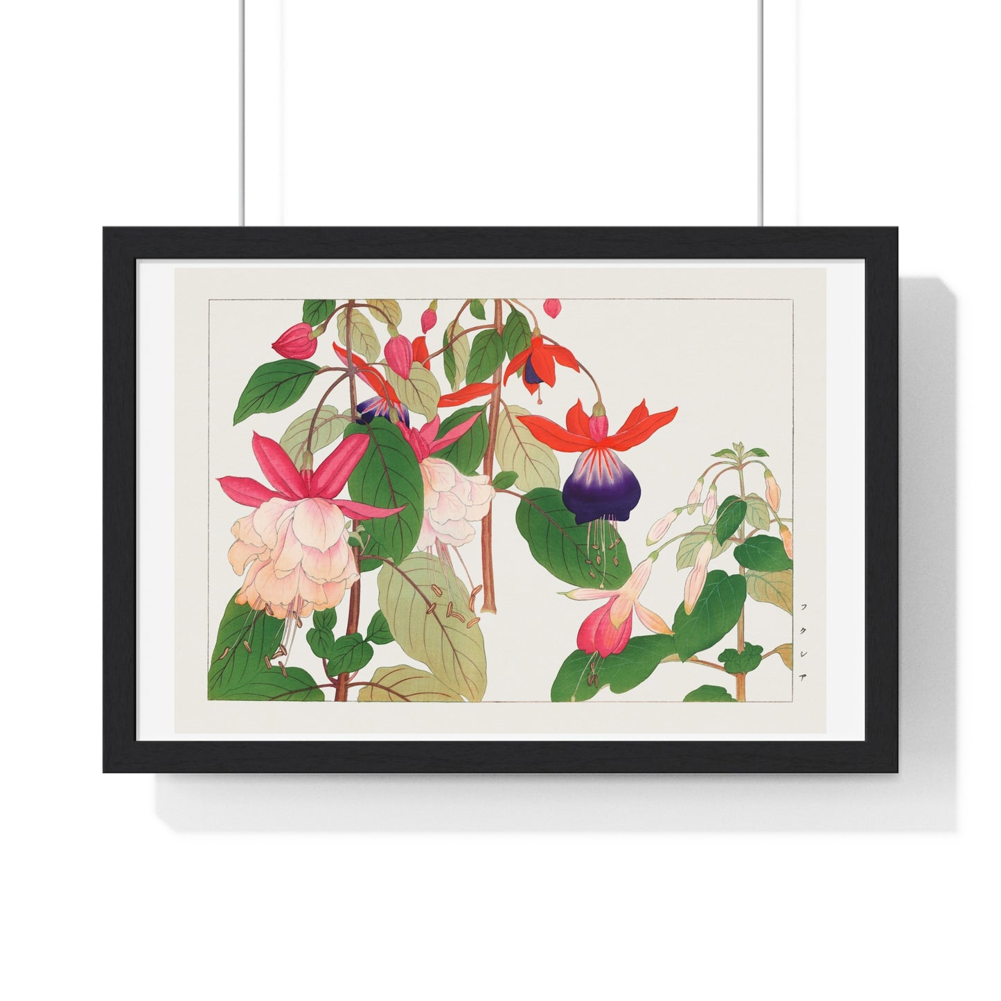 Fuchsia, Japanese Woodblock Art (1917) from Seiyō Sōka Zufu, by Tanigami Kônan, Framed Art Print