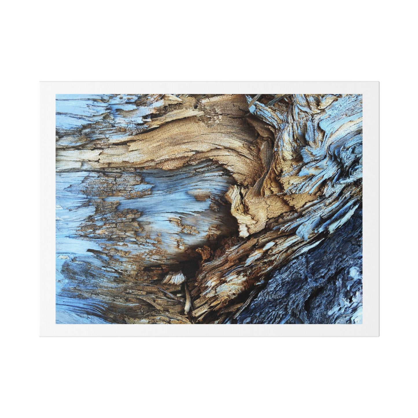 Abstract Painting of Light Brown and Blue Tree Bark, Canvas Art Print
