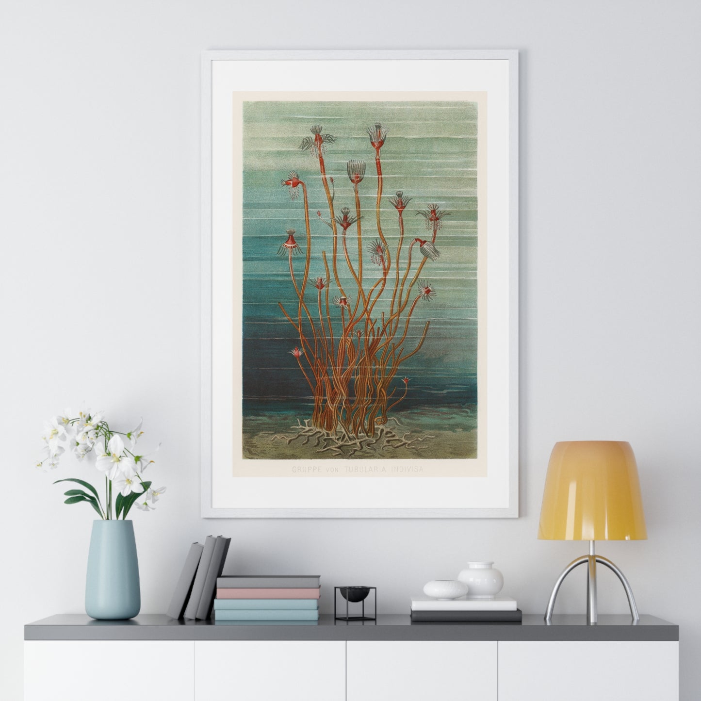 Group of Tubularis Indivisa (1884) by Eduard Oscar Schmidt, an Unusual Aquatic Life Form, from the Original, Framed Print