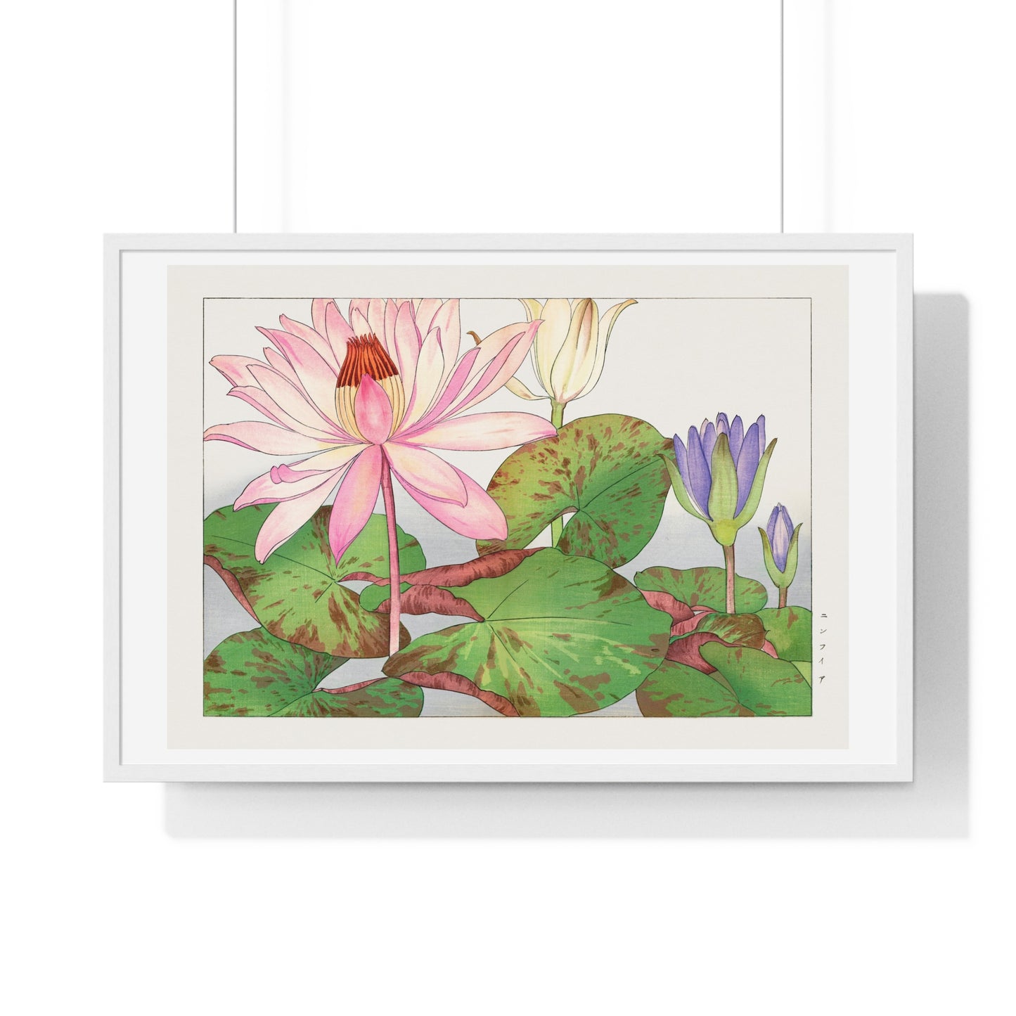 Japanese Woodblock Art, Nymphaea Lotus (1917) by Tanigami Kônan, from the Original, Framed Print