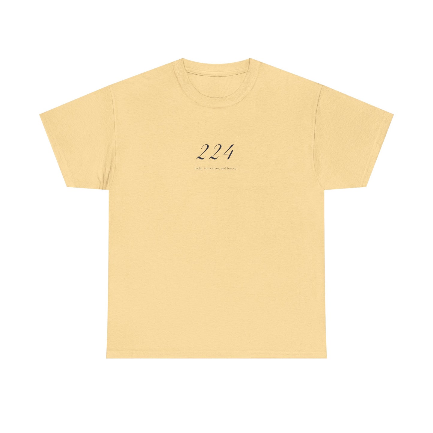 Angel Number 224, Spiritual T-Shirt
