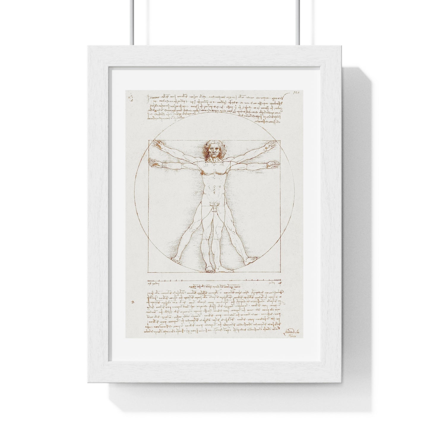 Vitruvian Man (circa 1490) by Leonardo da Vinci, from the Original, Framed Art Print