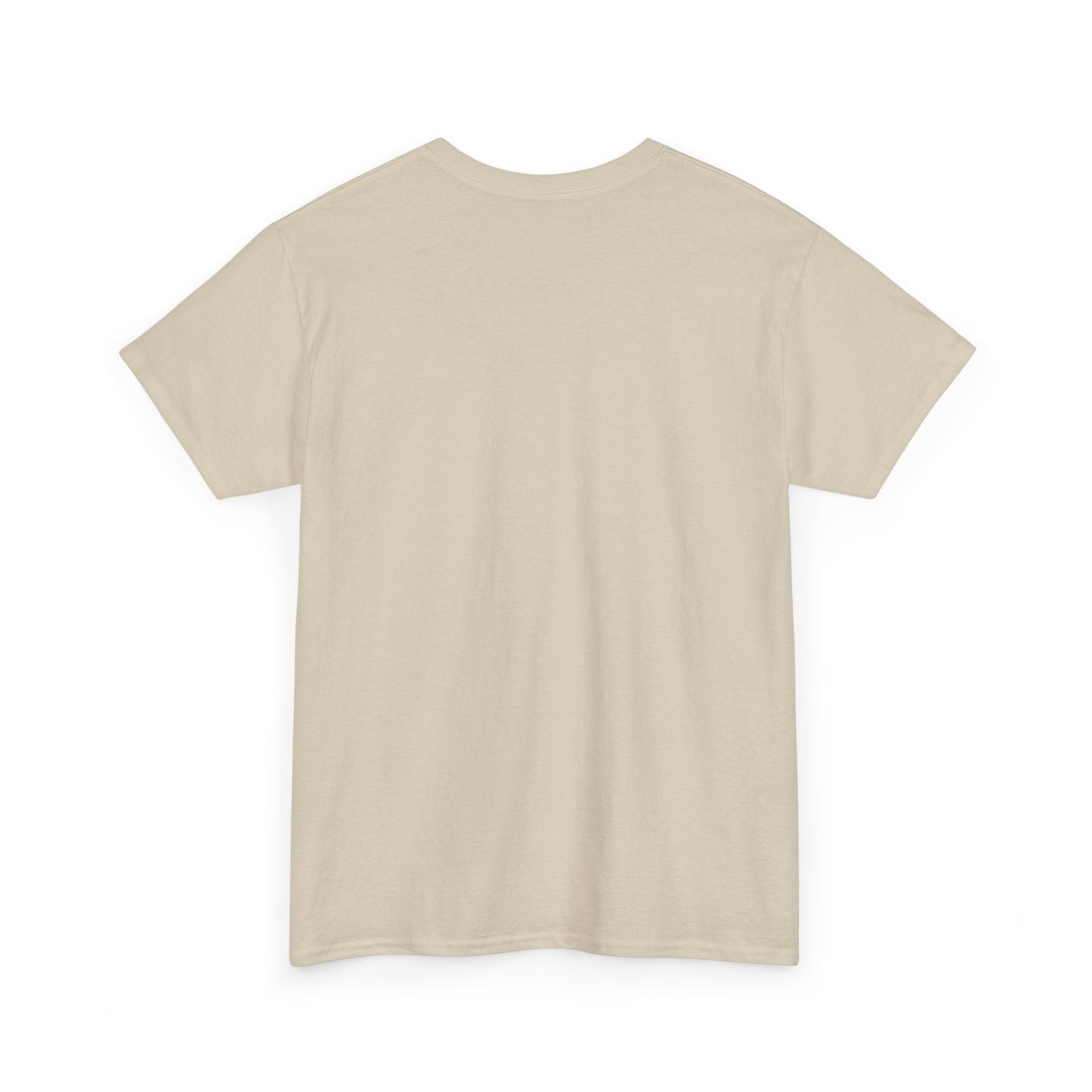 Anti-Islamic Extremism T-Shirt