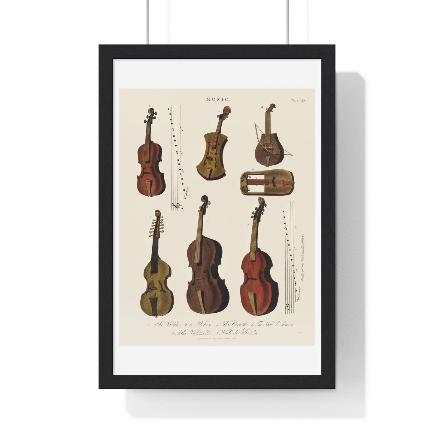 A Collection of Antique Violin, Viola, Cello and More from Encyclopedia Londinensis (1810) from the Original Art Print on Canvas