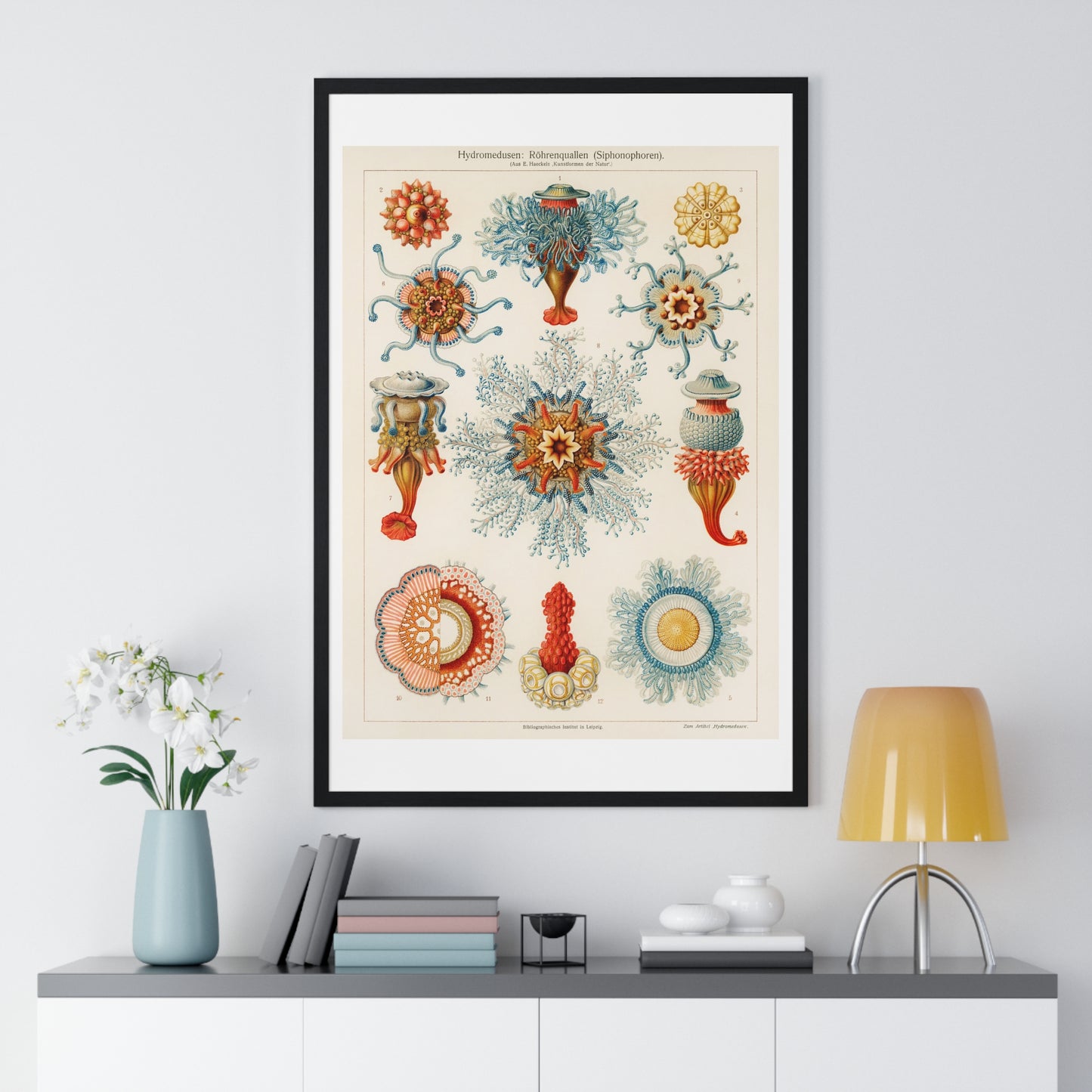 Vintage Jellyfish Illustration from 'Kunstformen der Natur' by Ernst Haeckel, from the Original, Framed Print