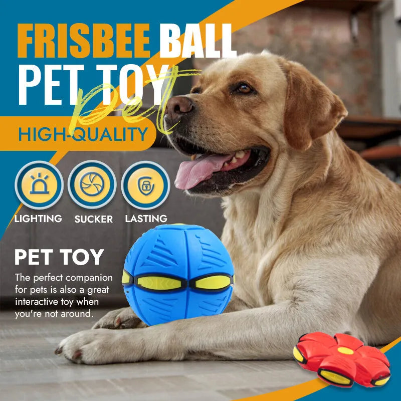 Pet Toy Flying Saucer Soft Plastic Ball Frisbee