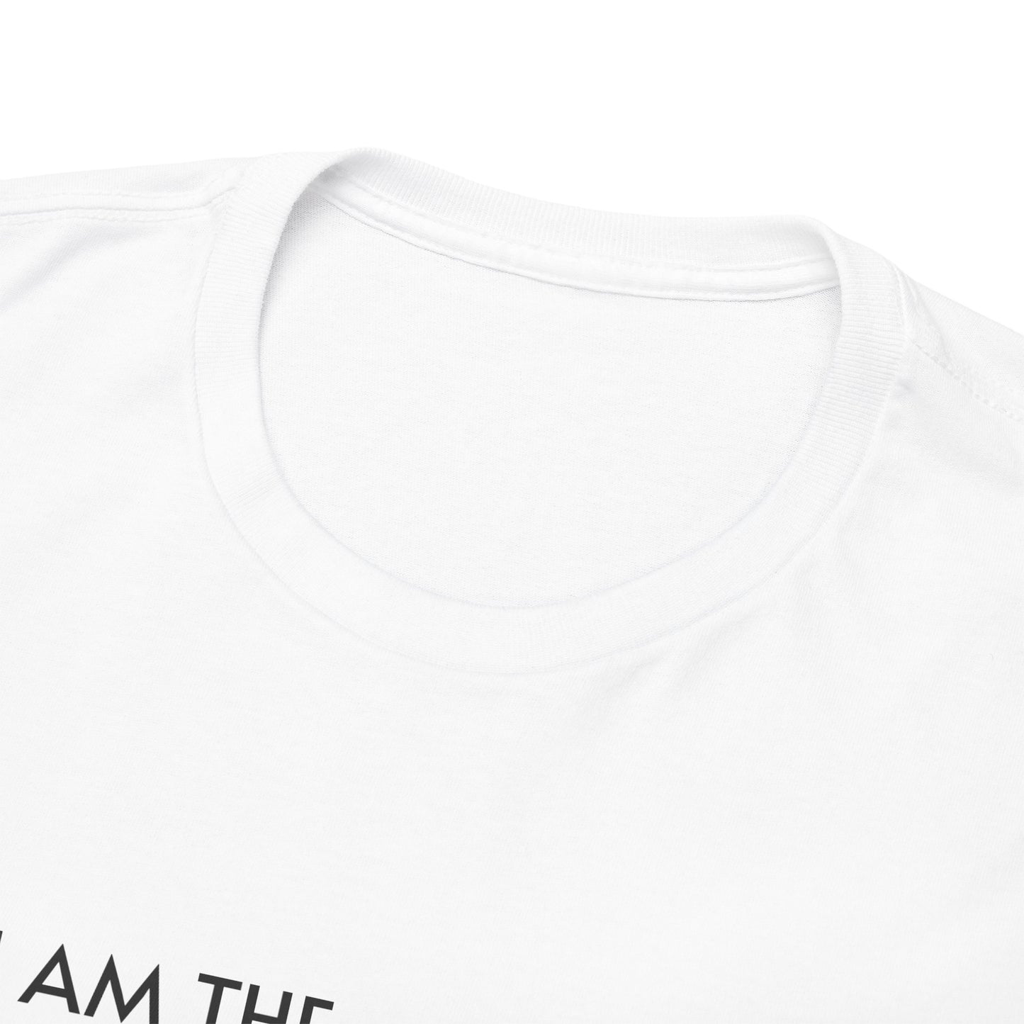 I AM THE PERSON YOUR MAINSTREAM MEDIA WARNS YOU ABOUT! T-Shirt