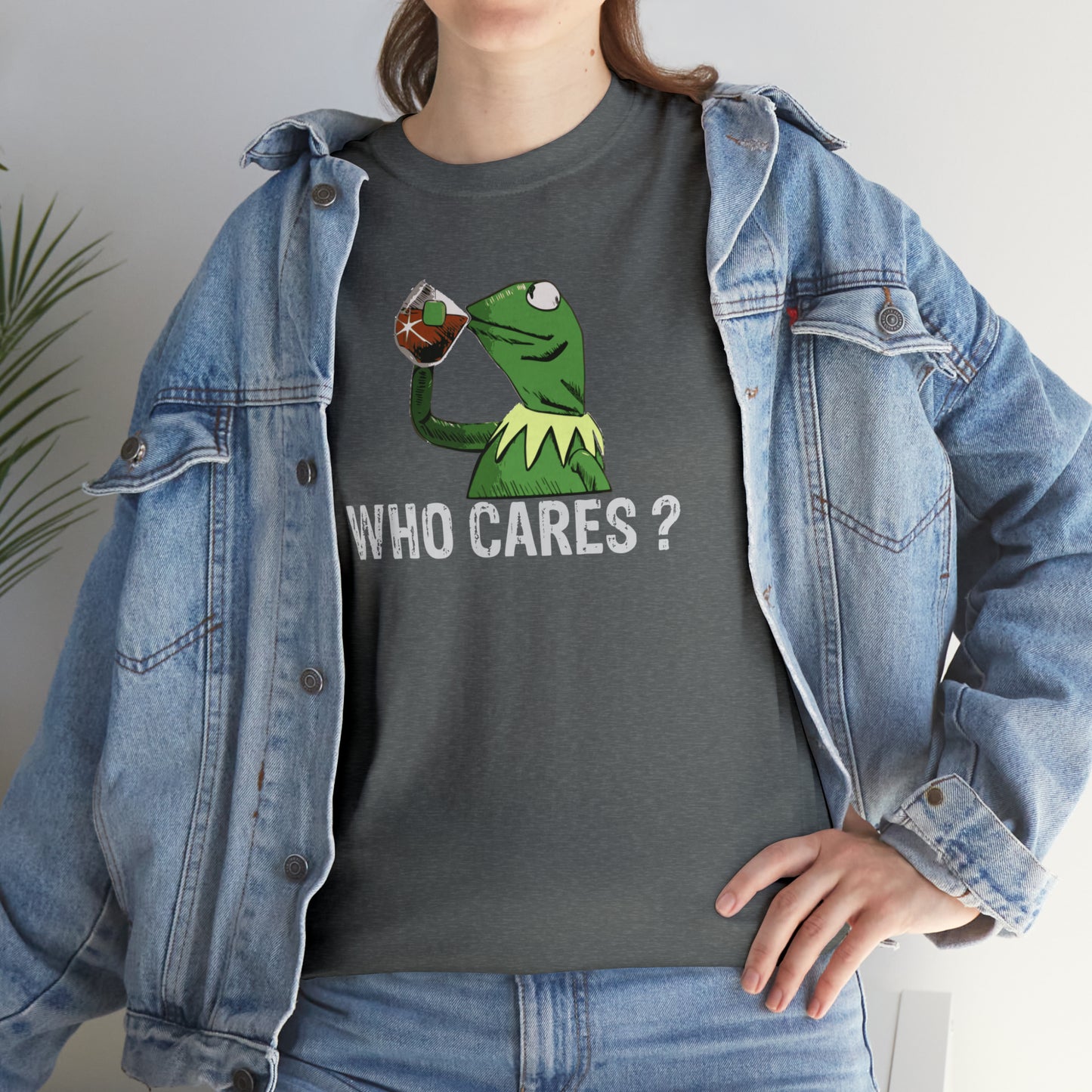 Who Cares Kermit Funny T-Shirt