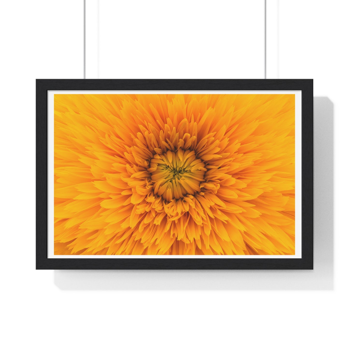Vibrant Yellow Flower Relaxing Large Wall Art, Framed Print