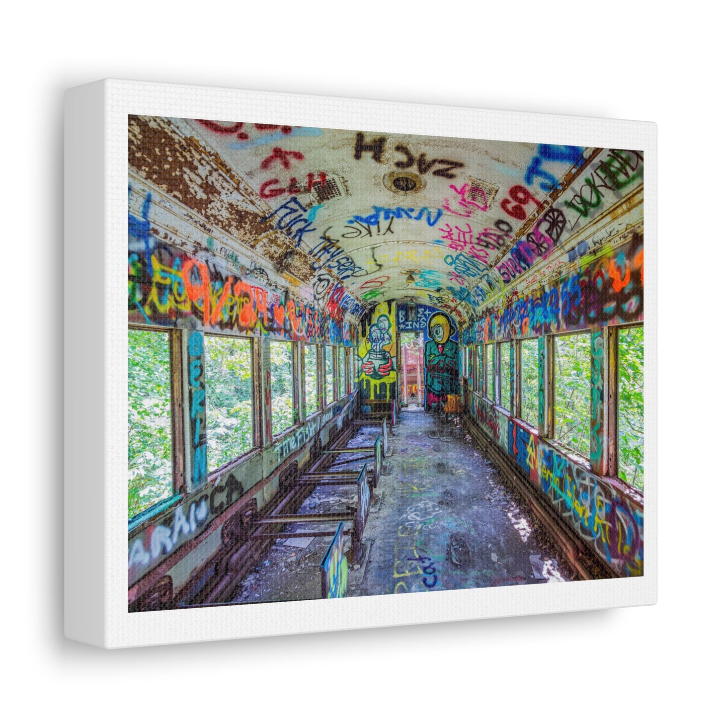 Abandoned Passenger Train Car in Lambertville, New Jersey, Art Print from the Original on Canvas