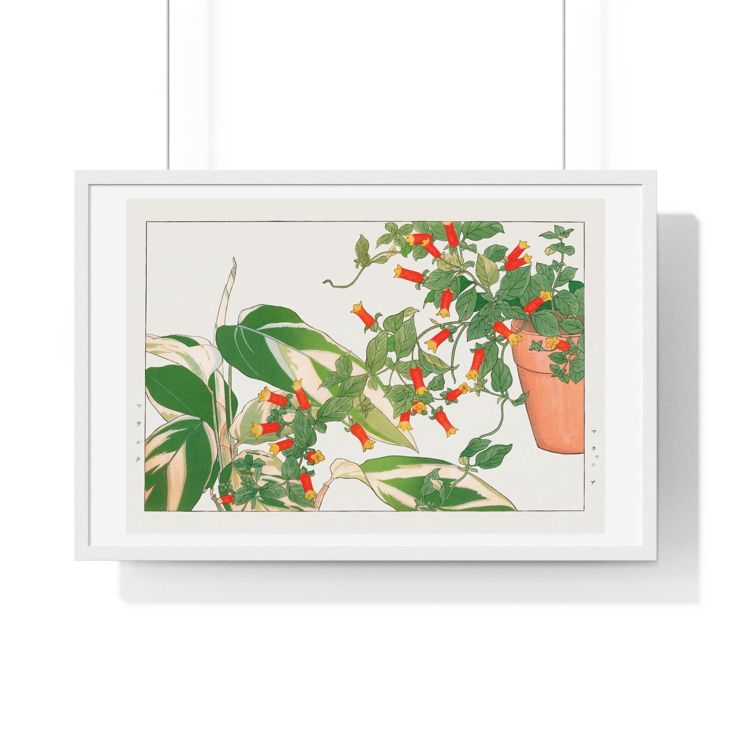 Maranta and Manettia Flower (1917) Japanese Woodblock Art by Kônan Tanigami, from the Original, Framed Art Print