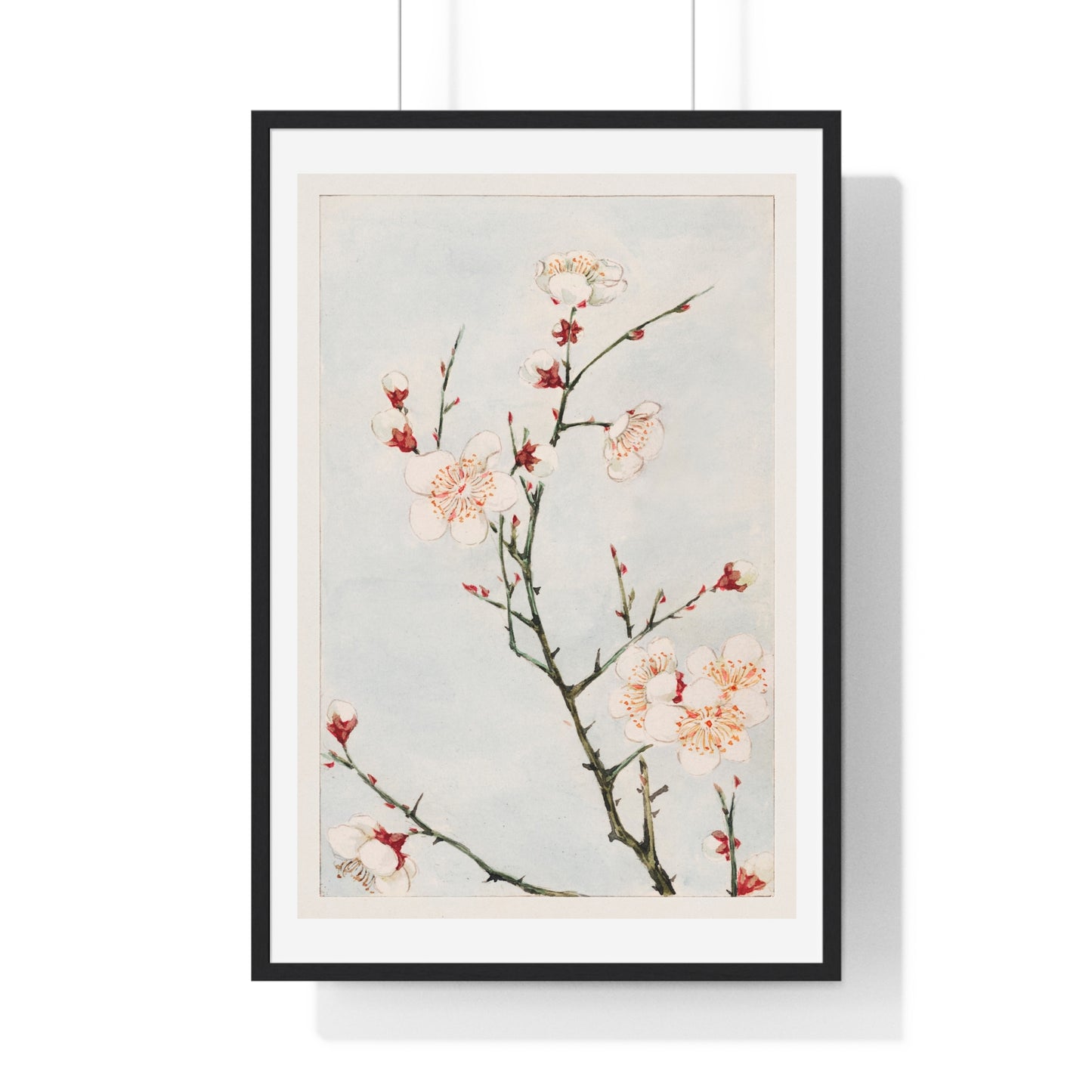 Plum Branches with Blossoms (1870–1880) by Megata Morikaga, from the Original, Framed Art Print