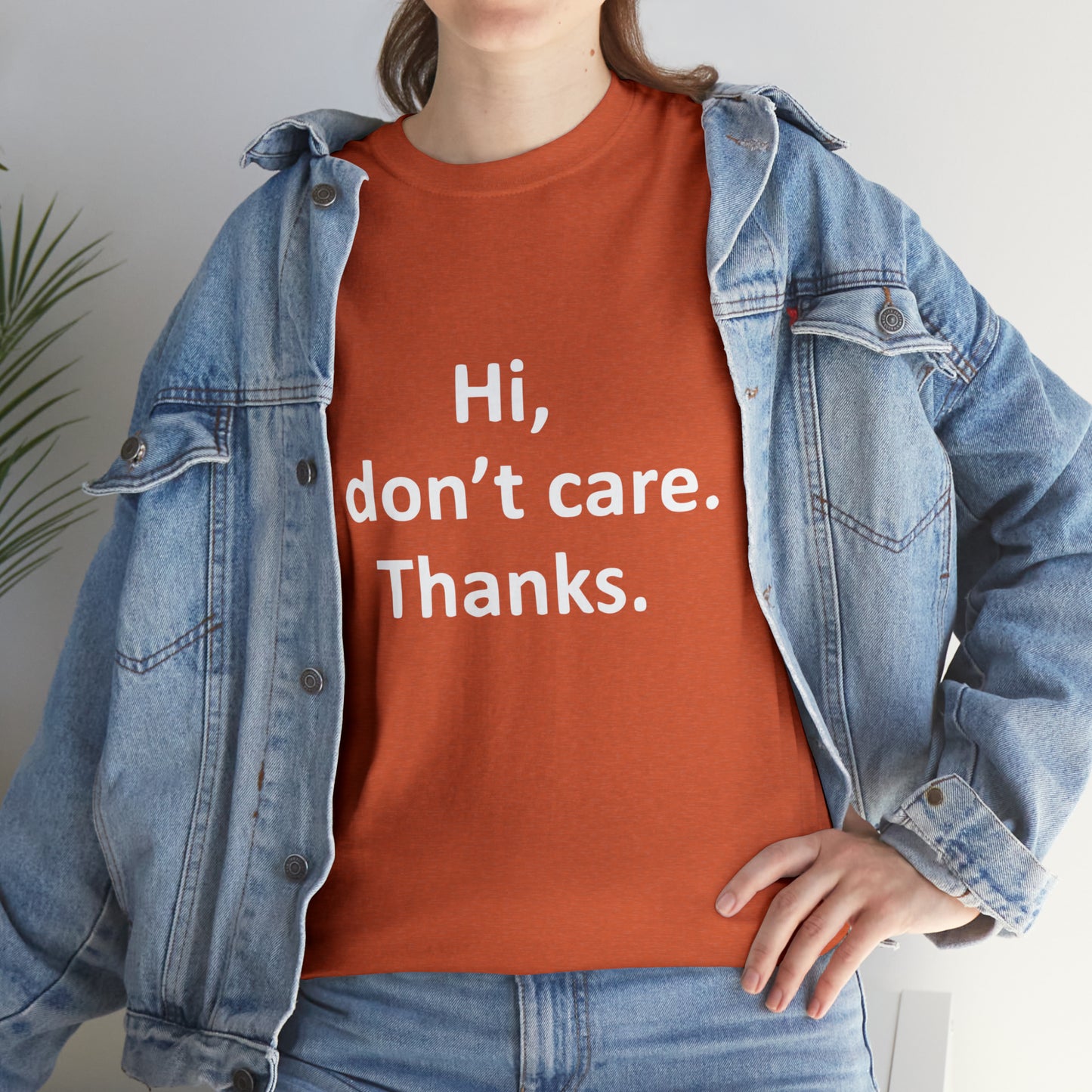 Hi, I Don't Care, Thanks! Funny T-Shirt