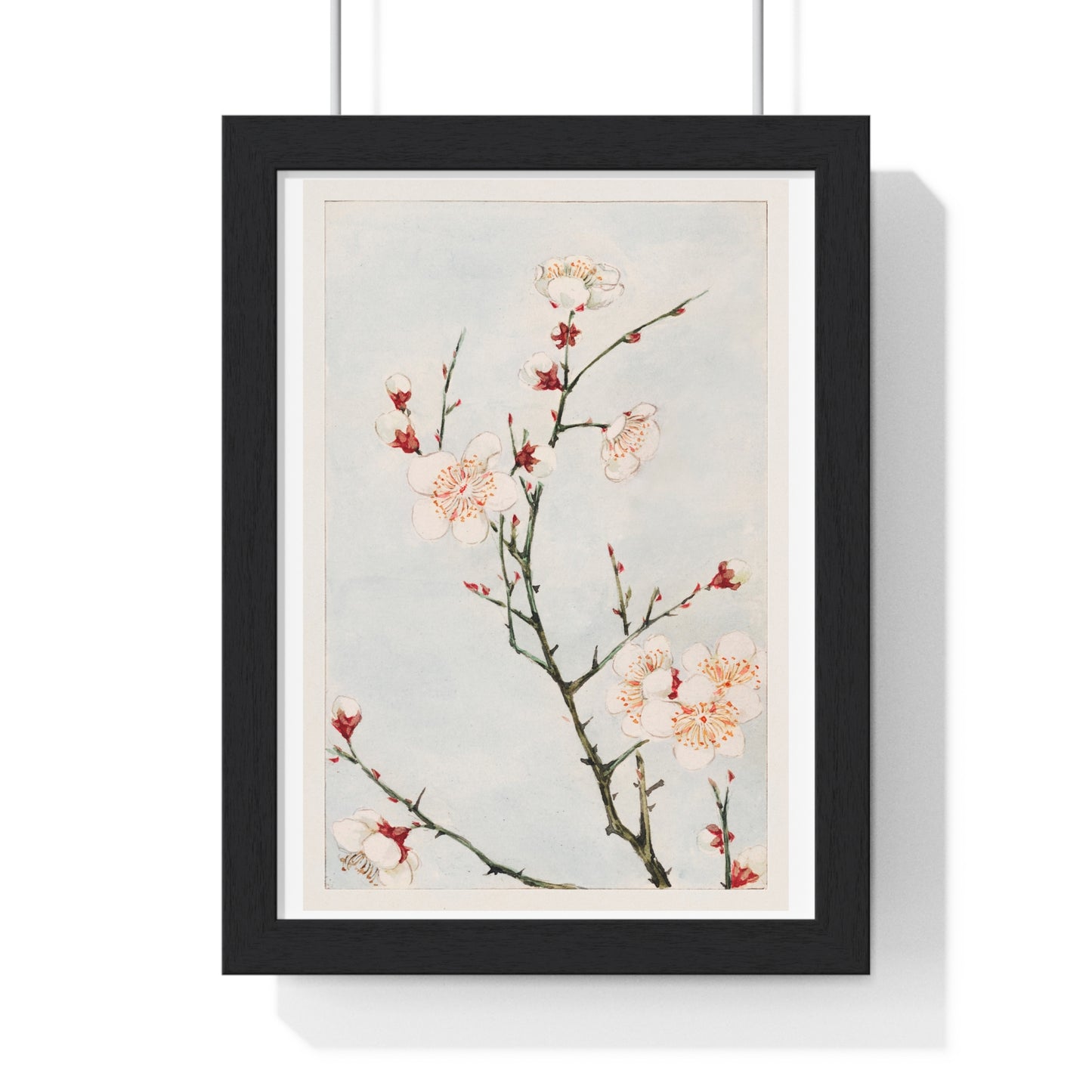 Plum Branches with Blossoms (1870–1880) by Megata Morikaga, from the Original, Framed Art Print