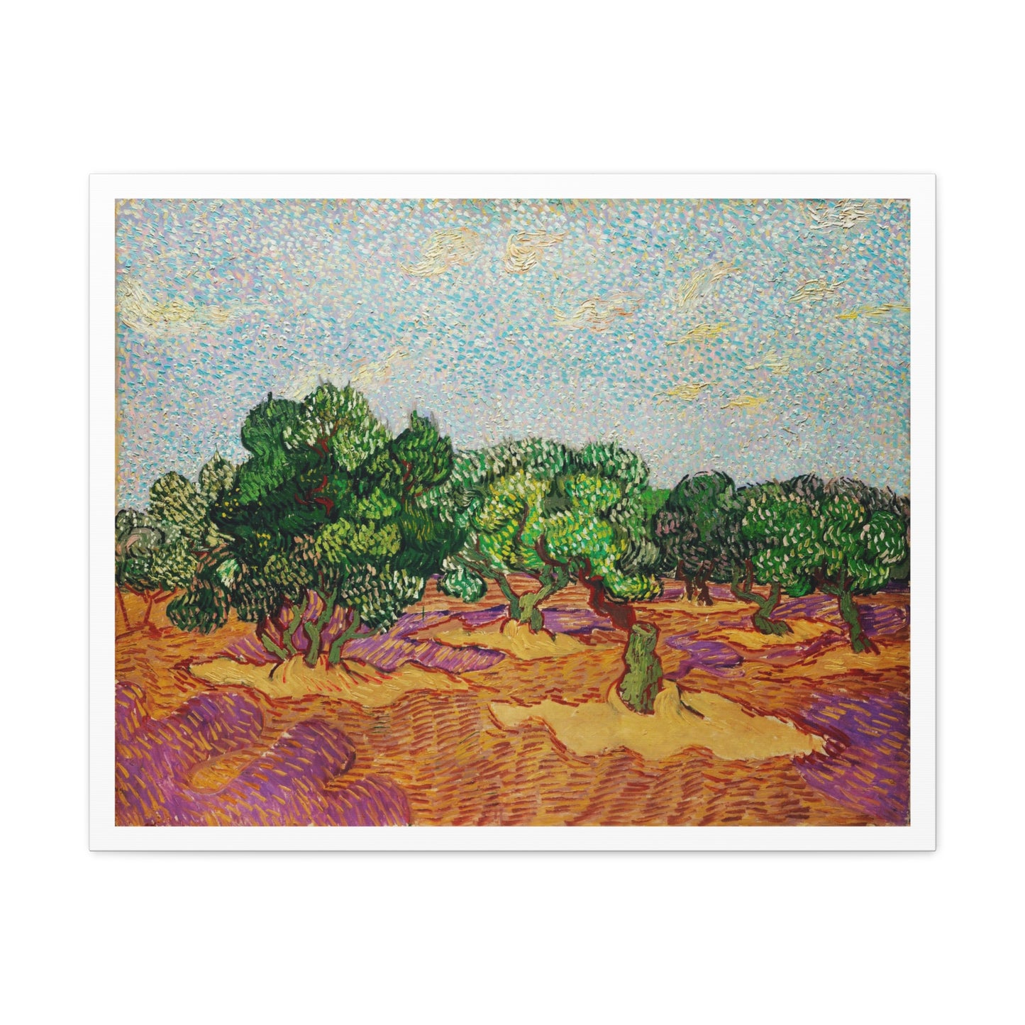 Olive Trees (1889) by Vincent Van Gogh, Canvas Art Print from the Original