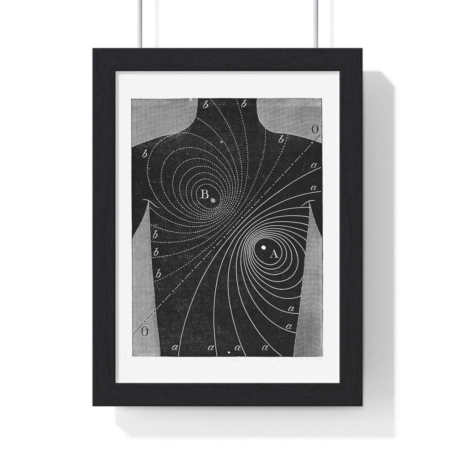 Augustus D Waller, Diagram, Electromotive Properties of the Human Heart, from the Original, Framed Art Print