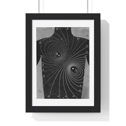 Augustus D Waller, Diagram, Electromotive Properties of the Human Heart, from the Original, Framed Art Print