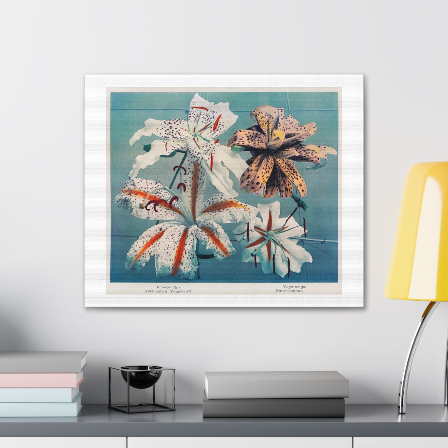 Hand–Coloured Collotype Lilly from 'Some Japanese Flowers' (1896) by Kazumasa Ogawa, Canvas Art Print from the Original