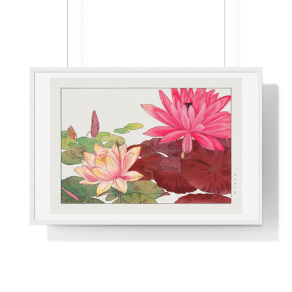 Japanese Woodblock Art, Nymphaea Lotus (1917)  by Tanigami Kônan, from the Original, Framed Print