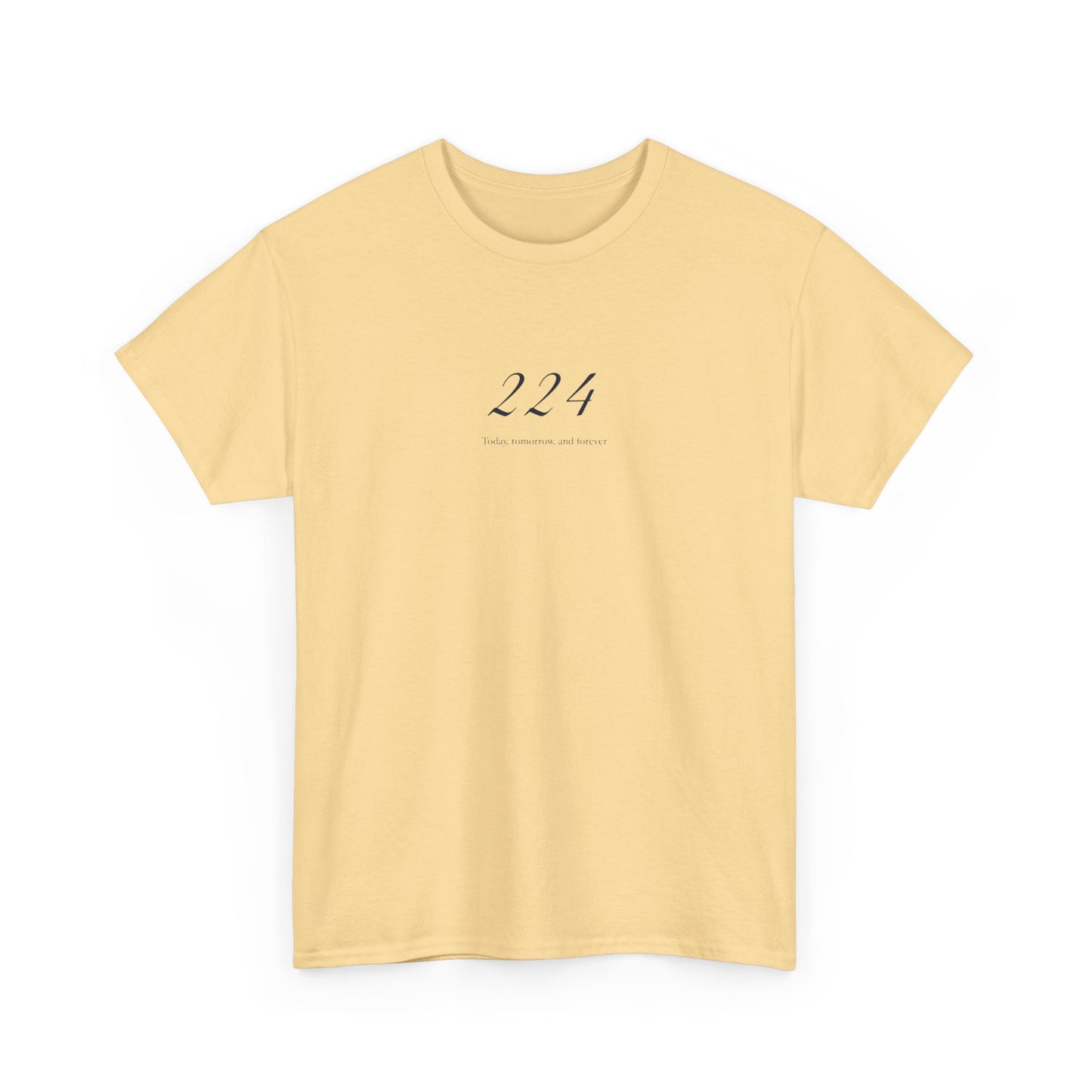 Angel Number 224, Spiritual T-Shirt