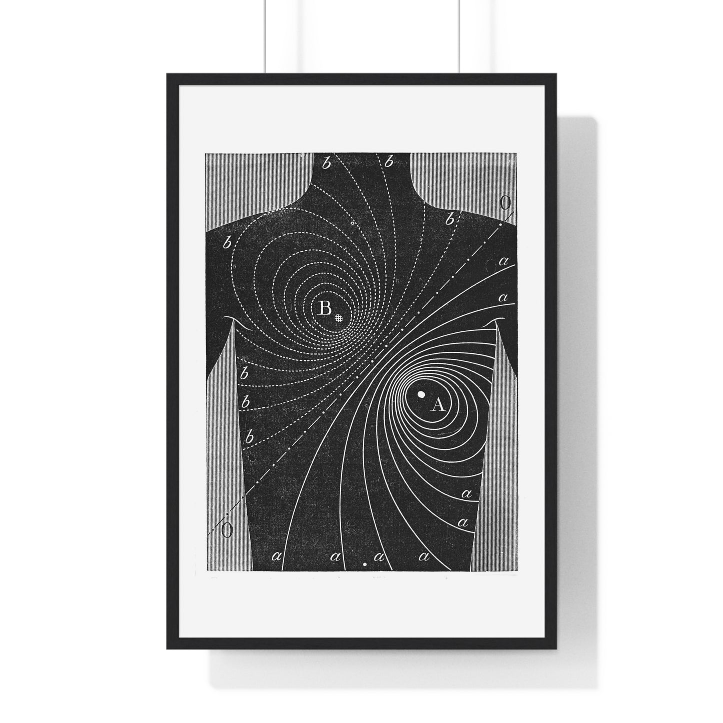 Augustus D Waller, Diagram, Electromotive Properties of the Human Heart, from the Original, Framed Art Print