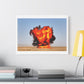 Boom, Baby! US Marines Photography with 1st Explosive Ordnance Disposal Company in Afghanistan, Print on Canvas