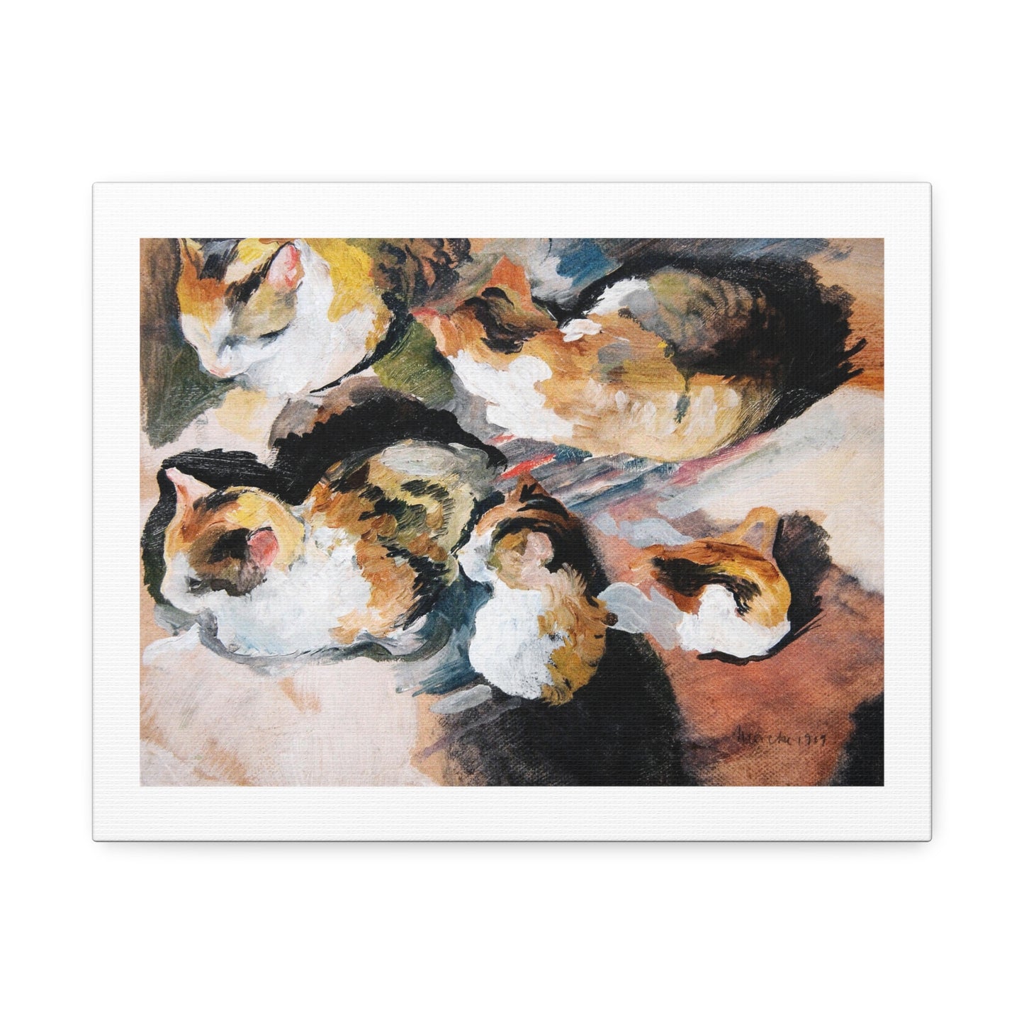 Katzenstudien 'Study of a Cat' (1909) by August Macke, from the Original, Art Print on Canvas