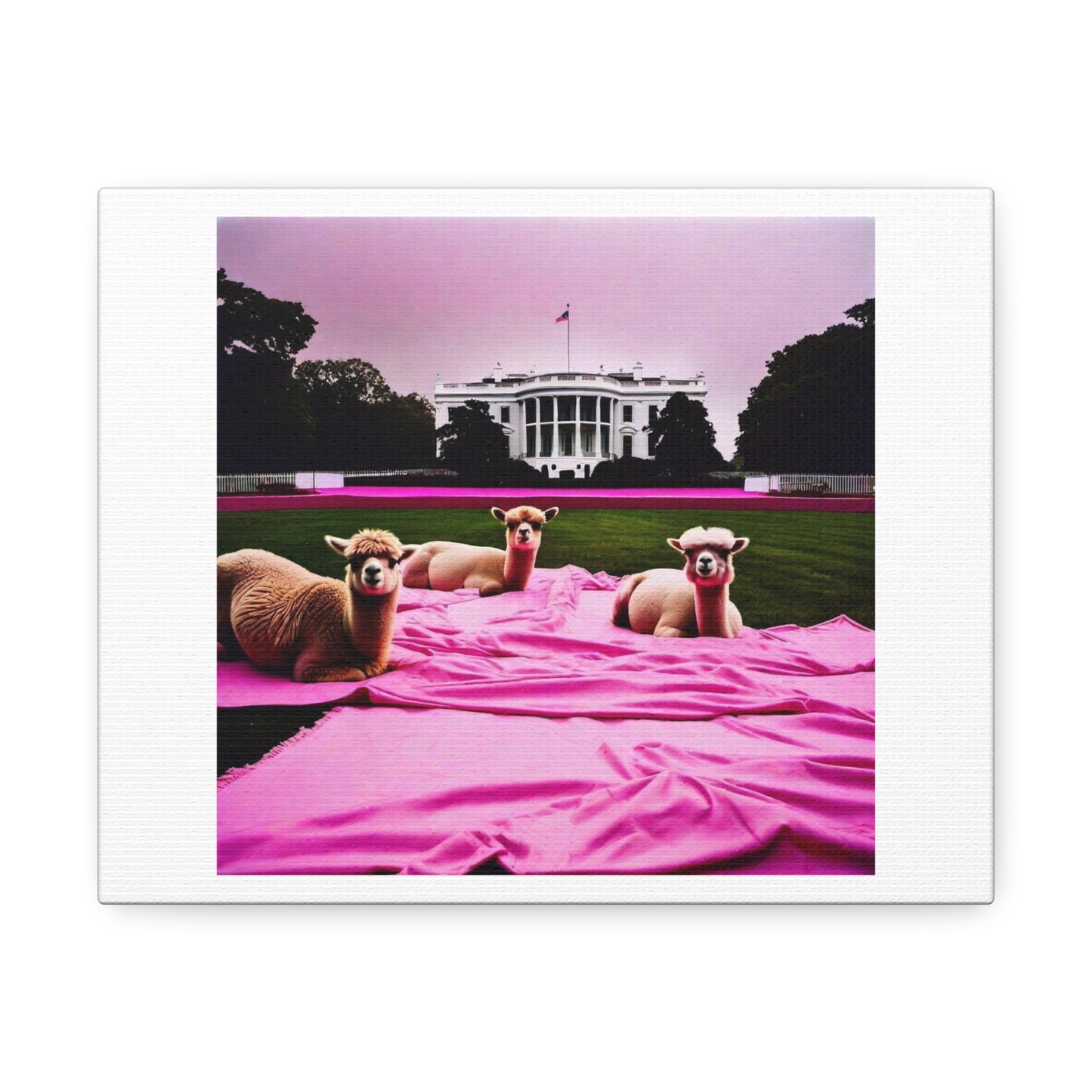 We're in the Twilight Zone: Pink Llamas on the White House Lawn 'Designed by AI' Print on Canvas