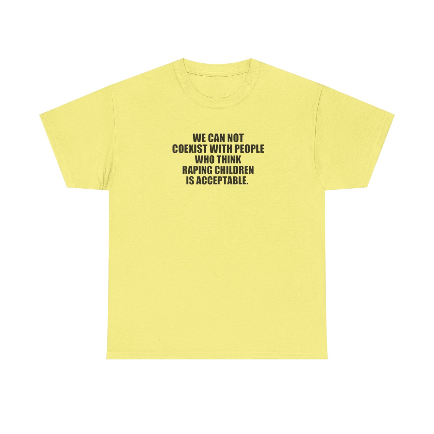 We Cannot Co-Exist with People Who Think Raping Children is Acceptable, Politics T-Shirt
