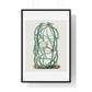 Snake Cactus, from 'Familie Der Cacteen' (1893-1905) from the Original, Framed Art Print