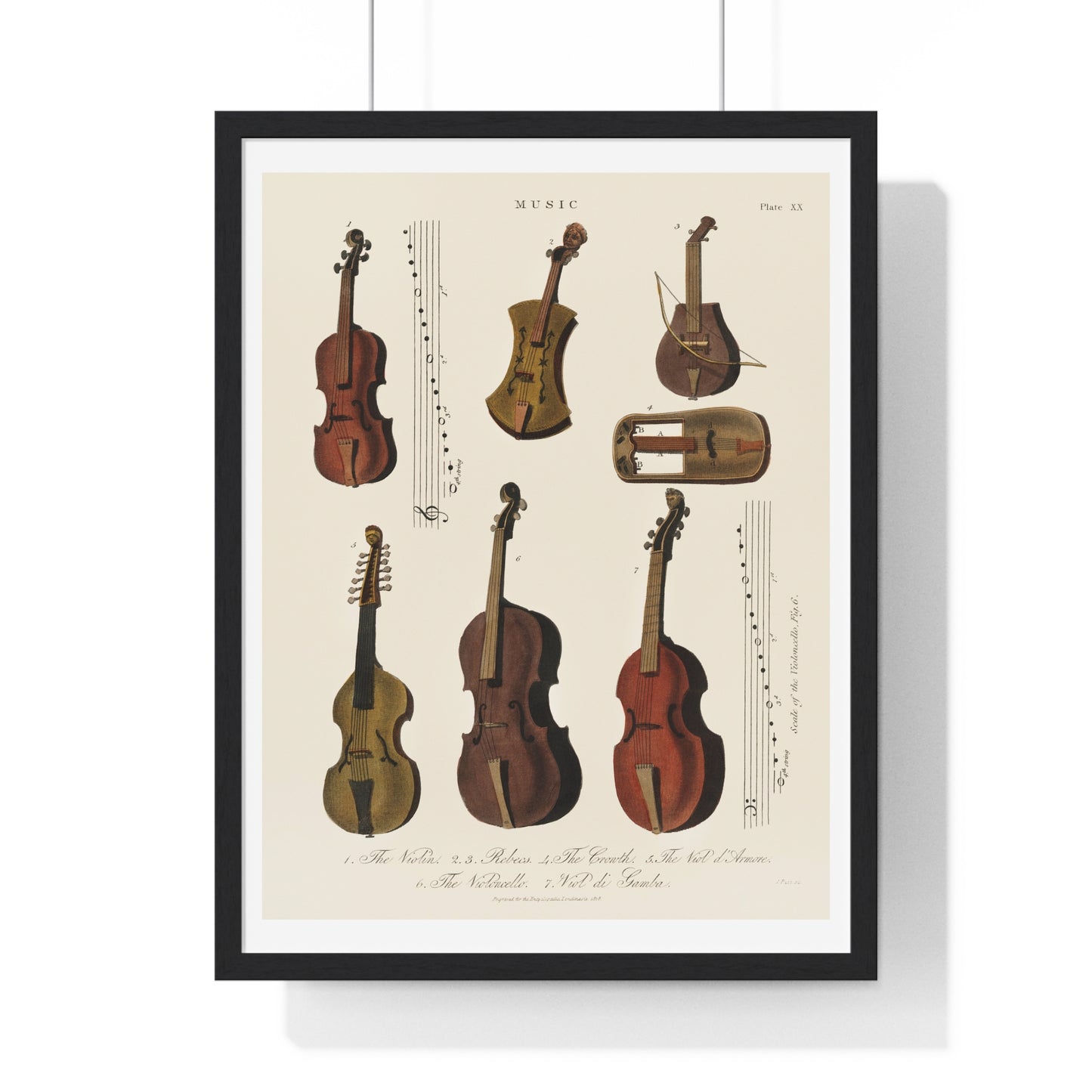 A Collection of Antique Violin, Viola, Cello and More from Encyclopedia Londinensis (1810) from the Original Art Print on Canvas