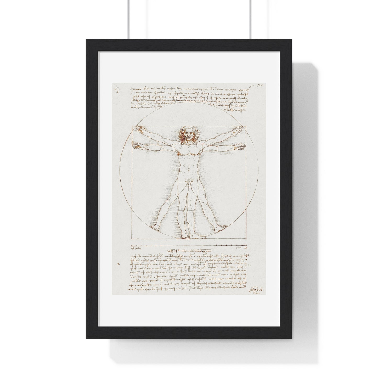 Vitruvian Man (circa 1490) by Leonardo da Vinci, from the Original, Framed Art Print