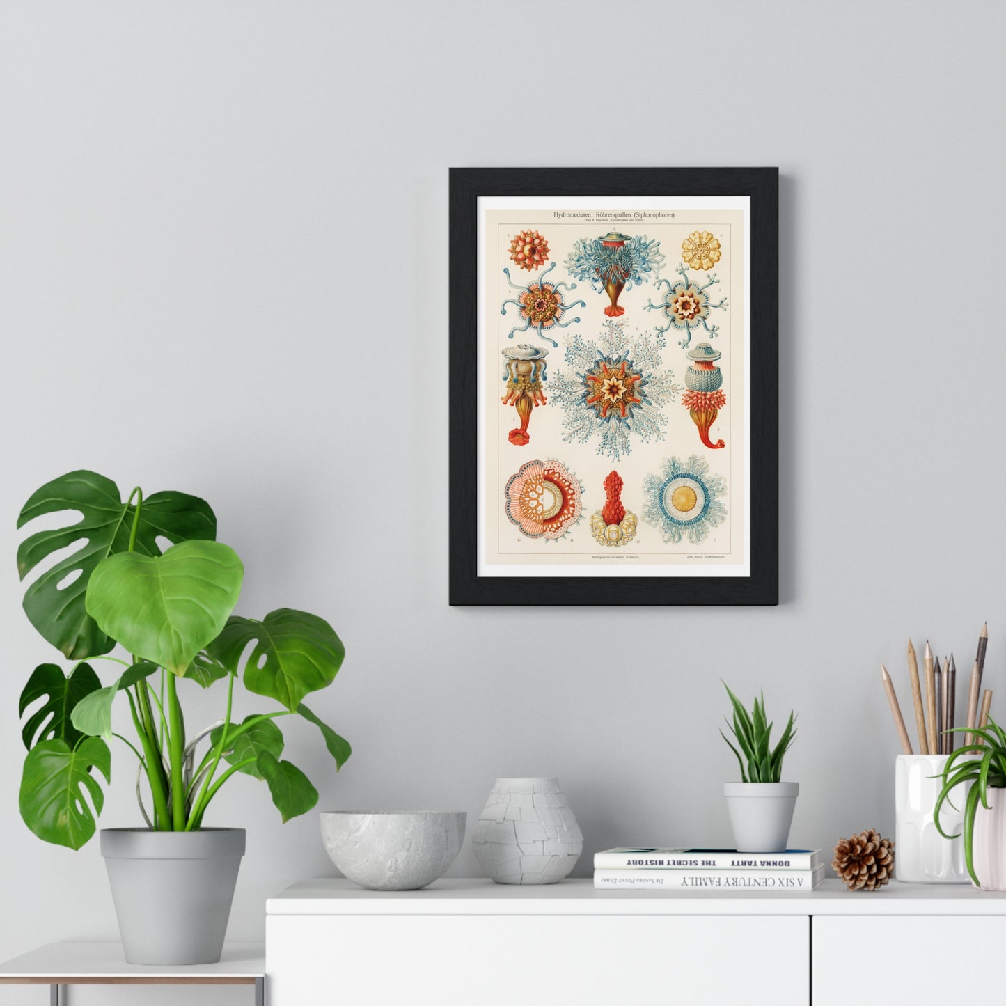 Vintage Jellyfish Illustration from 'Kunstformen der Natur' by Ernst Haeckel, from the Original, Framed Print