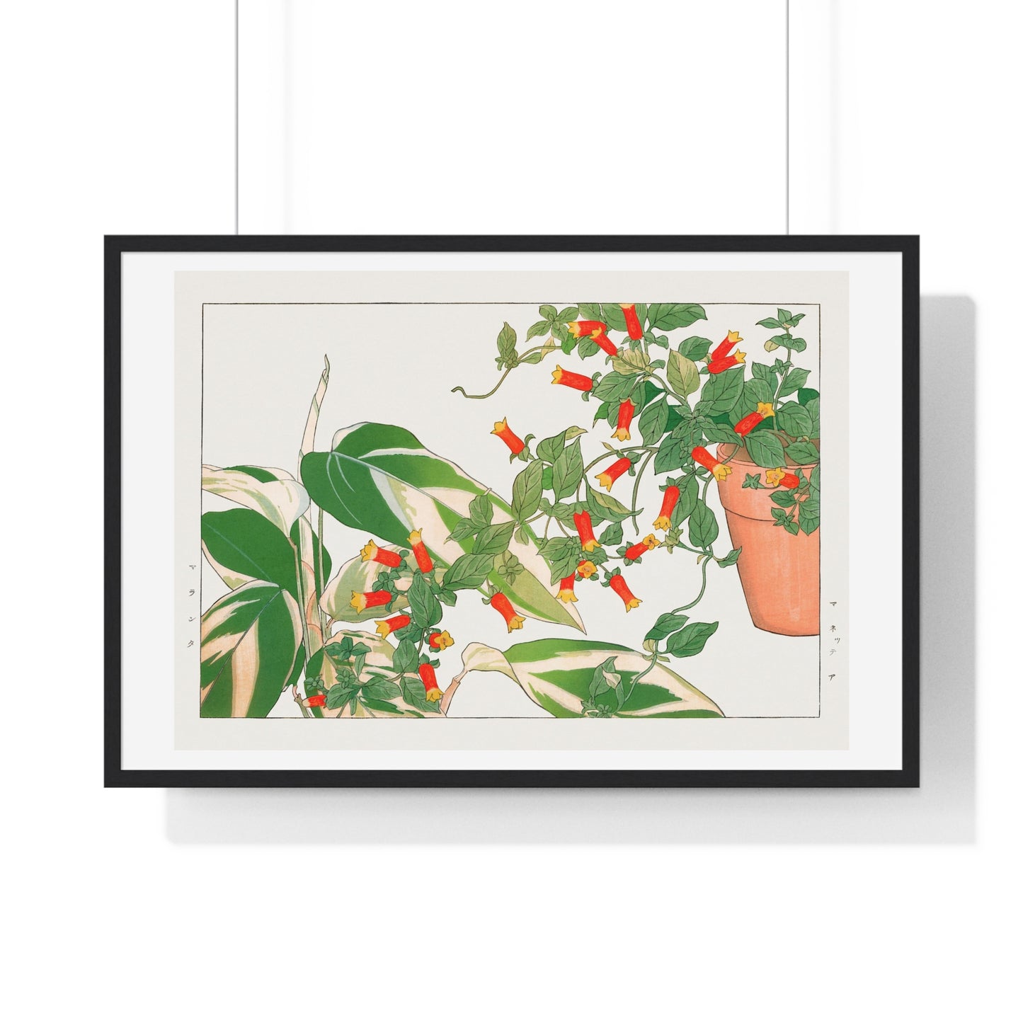 Maranta and Manettia Flower (1917) Japanese Woodblock Art by Kônan Tanigami, from the Original, Framed Art Print