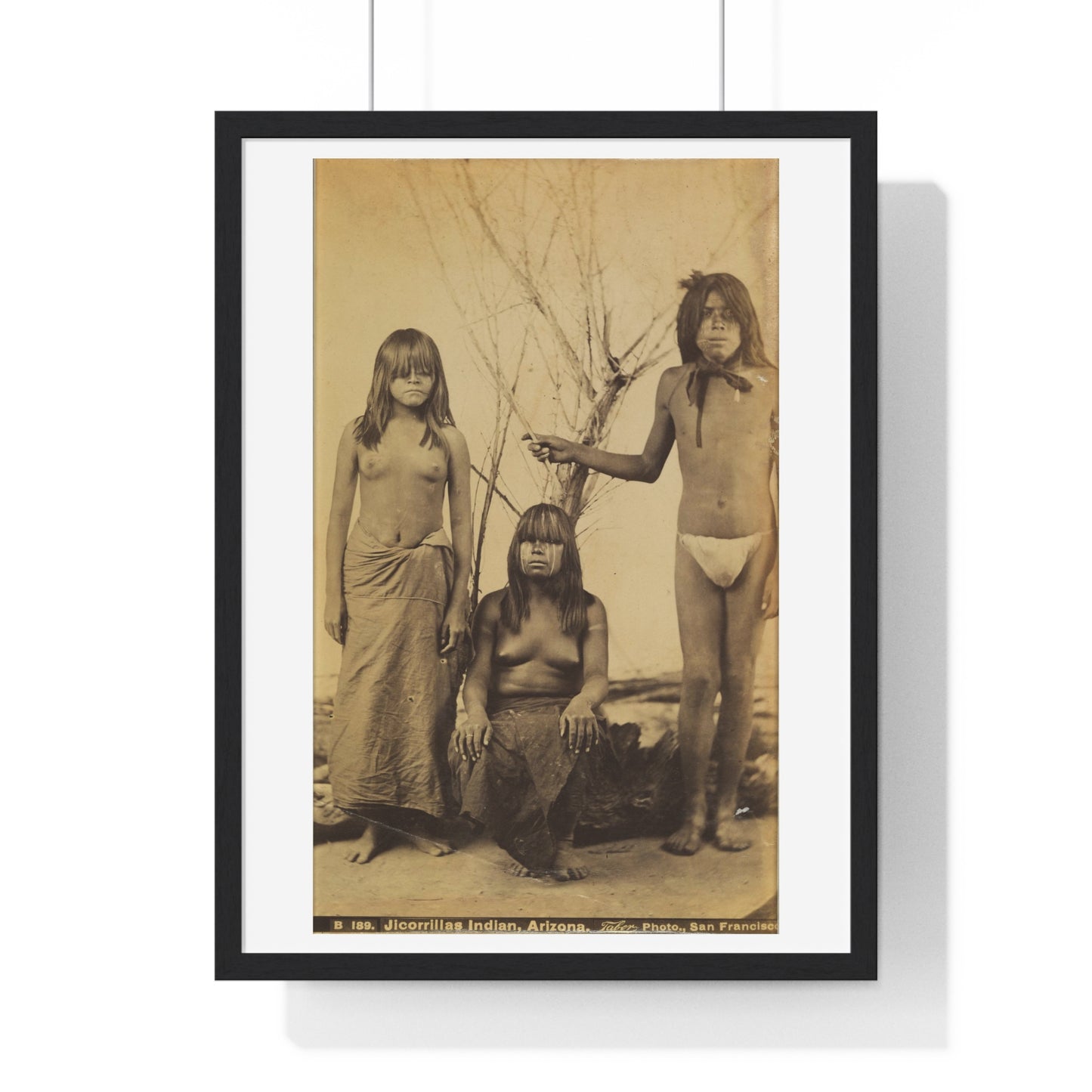 Jicorillas Indian, Arizona (circa 1875) Photographed by Isaiah West Taber, from the Original, Framed Print