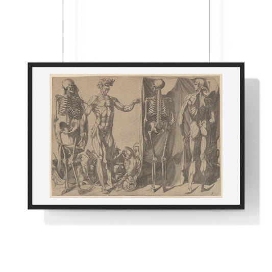 Two Flayed Men and Their Skeletons (1540–1545) by Domenico del Barbiere, from the Original, Framed Art Print