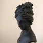 Desktop Sculpture, Aphrodite Bust, Art Decoration