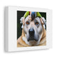 Parrot On Top Of a Dog digital art 'Designed by AI' on Canvas
