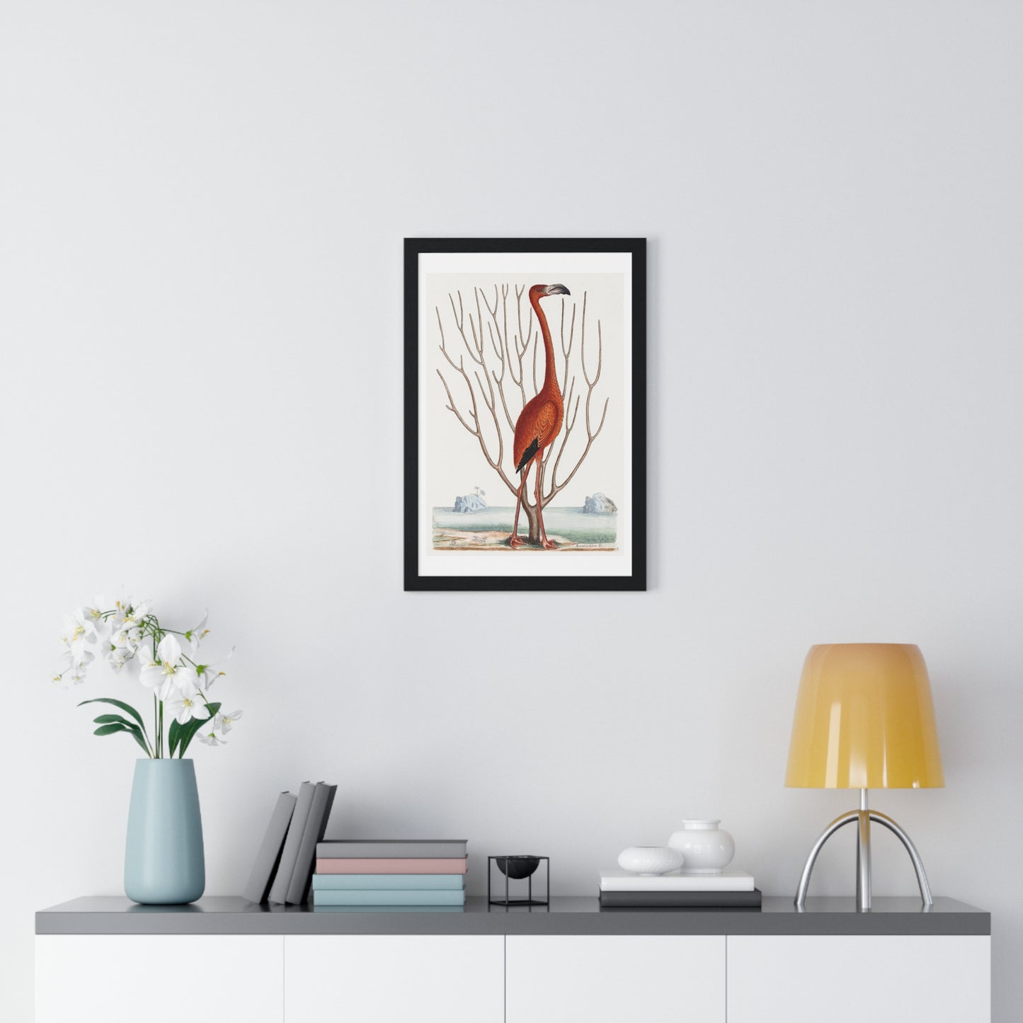 Flamingo (1731–1743) Vintage Illustration by Mark Catesby, from the Original, Framed Art Print