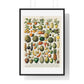 Vintage Illustration of Fruits and Vegetables from 'Nouveau Larousse Illustre' (1898), by Larousse, Pierre, Augé and Claude, from the Original, Framed Print