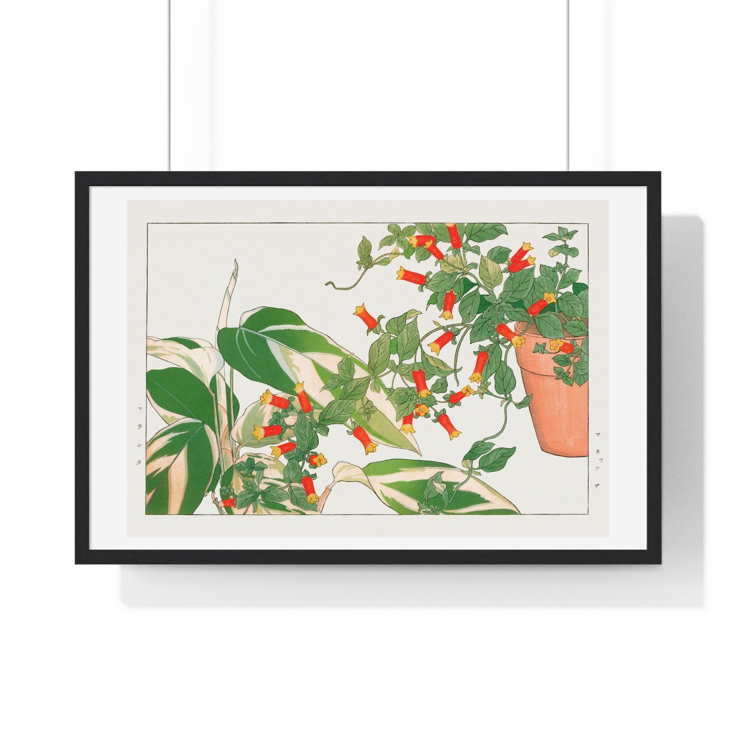 Maranta and Manettia Flower (1917) Japanese Woodblock Art by Kônan Tanigami, from the Original, Framed Art Print